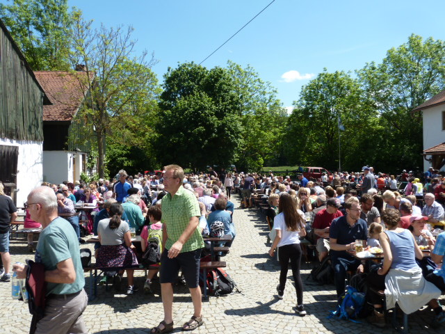 Am 1. Mai ist wieder Spargelfest auf dem Laubhof